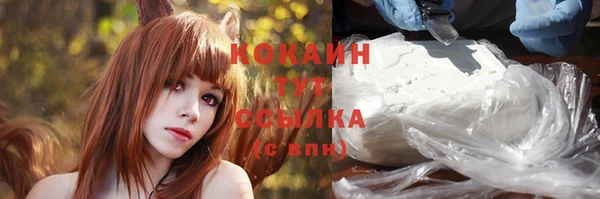 дживик Балахна