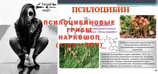дживик Балахна