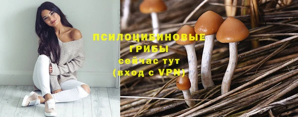 PSILOCYBIN Володарск